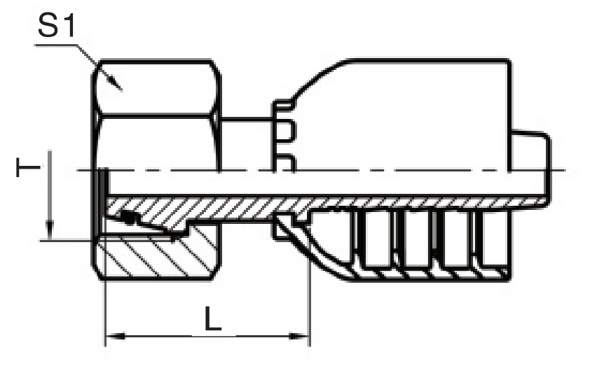 公制内螺纹24°锥带O型圈轻系列