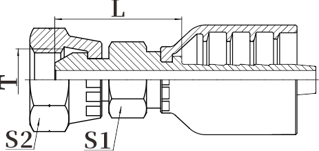 公制内螺纹60°锥面双六角